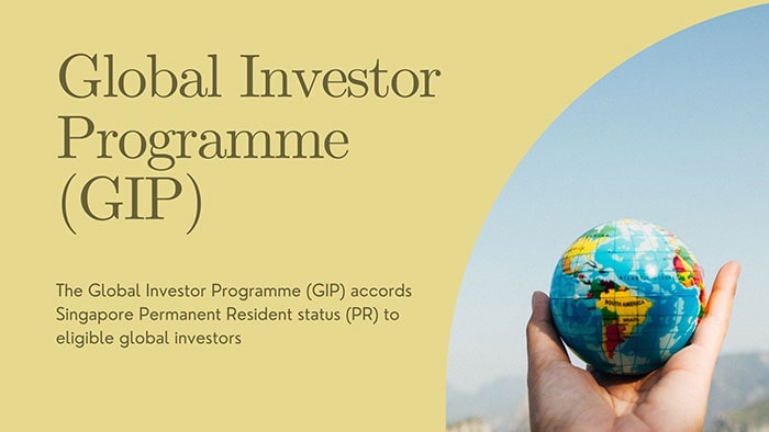 Global investment programme(GIP) in singapore